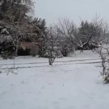 hiver antre des vices