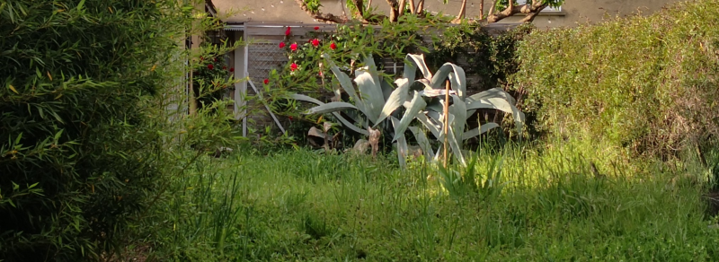 printemps antre des vices