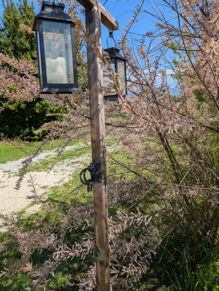 printemps antre des vices